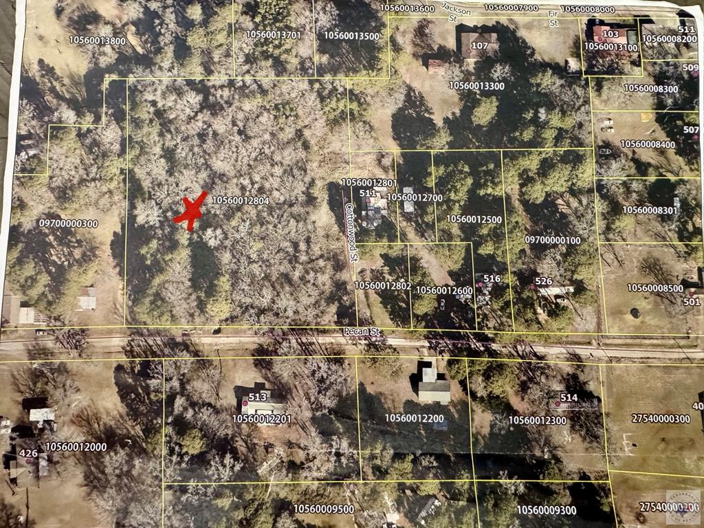 506 Pecan Property Photo 1