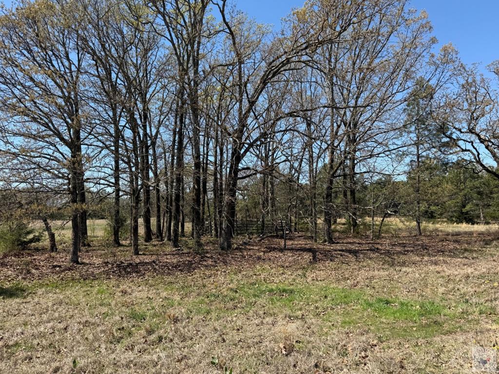 0 County Road 4310 Property Photo 1