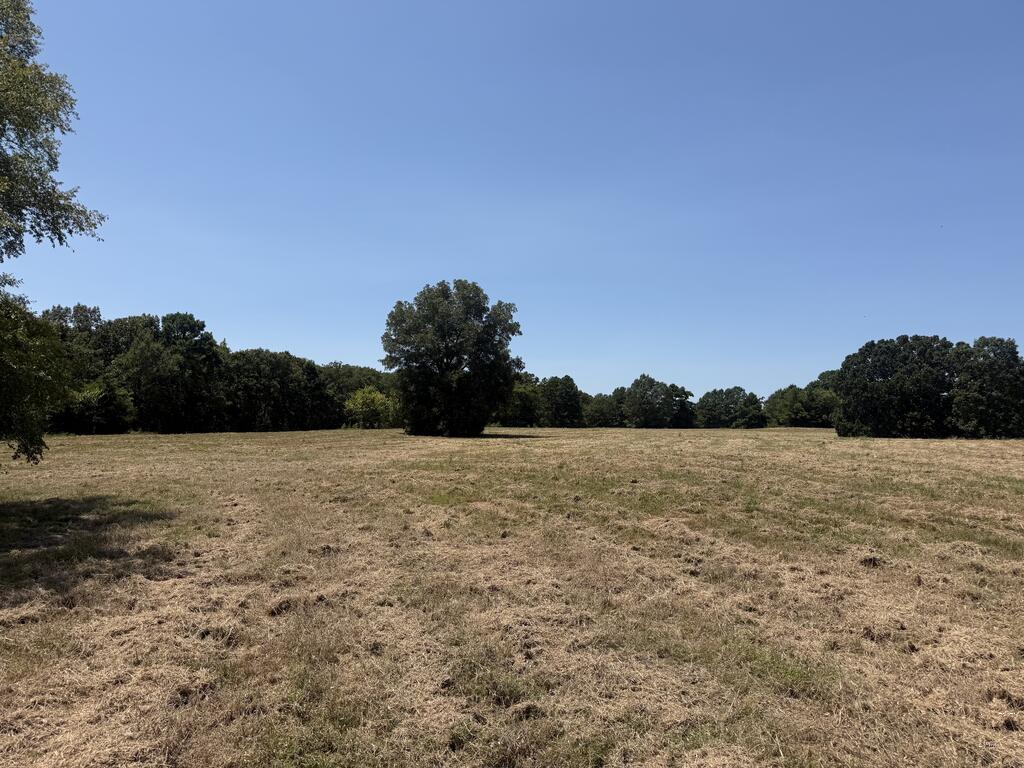 0 County Road 4310 Property Photo 1