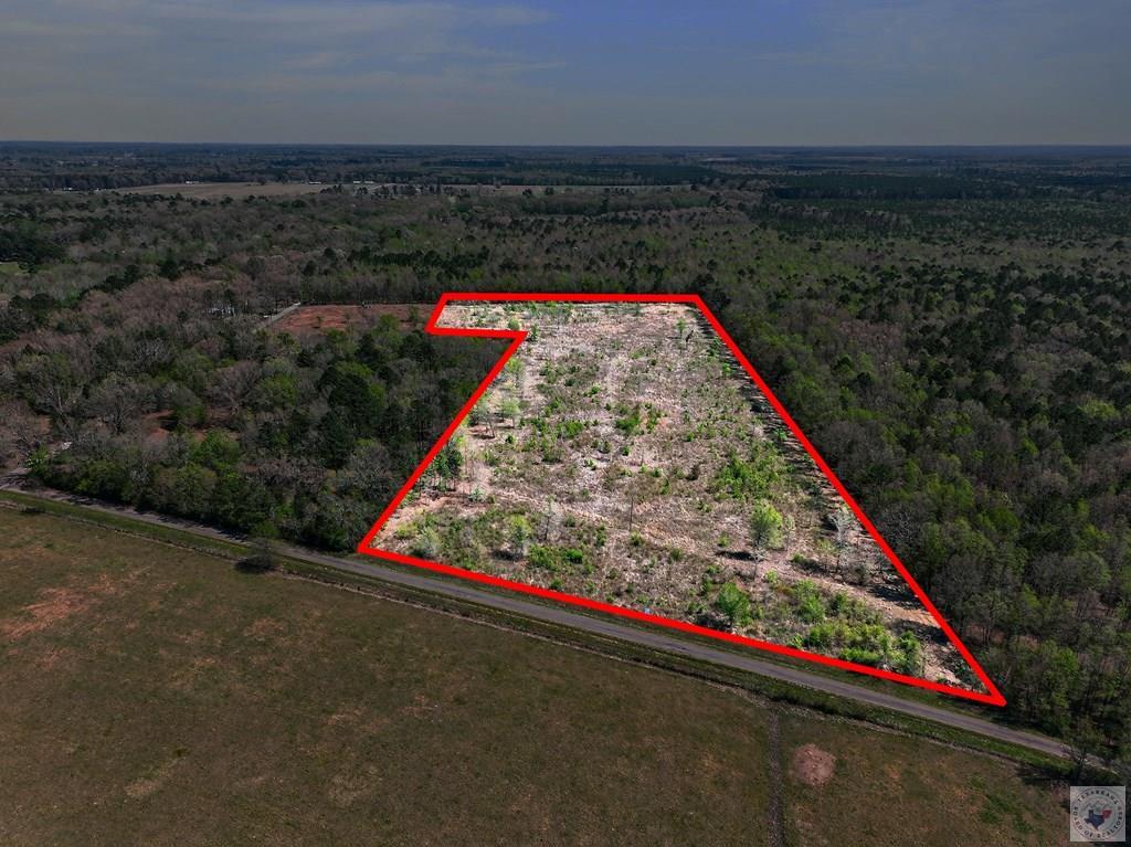 14 +/- Acres County Road 4223 Property Photo 1