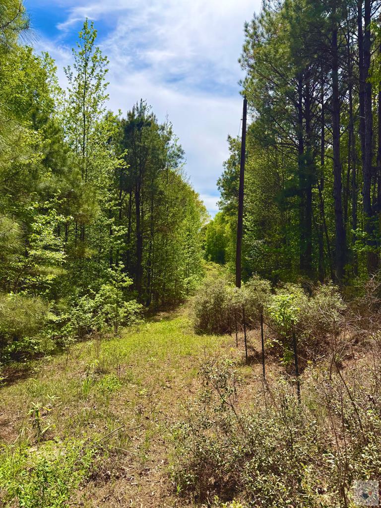 Fm 125 Fm 125 Property Photo 1