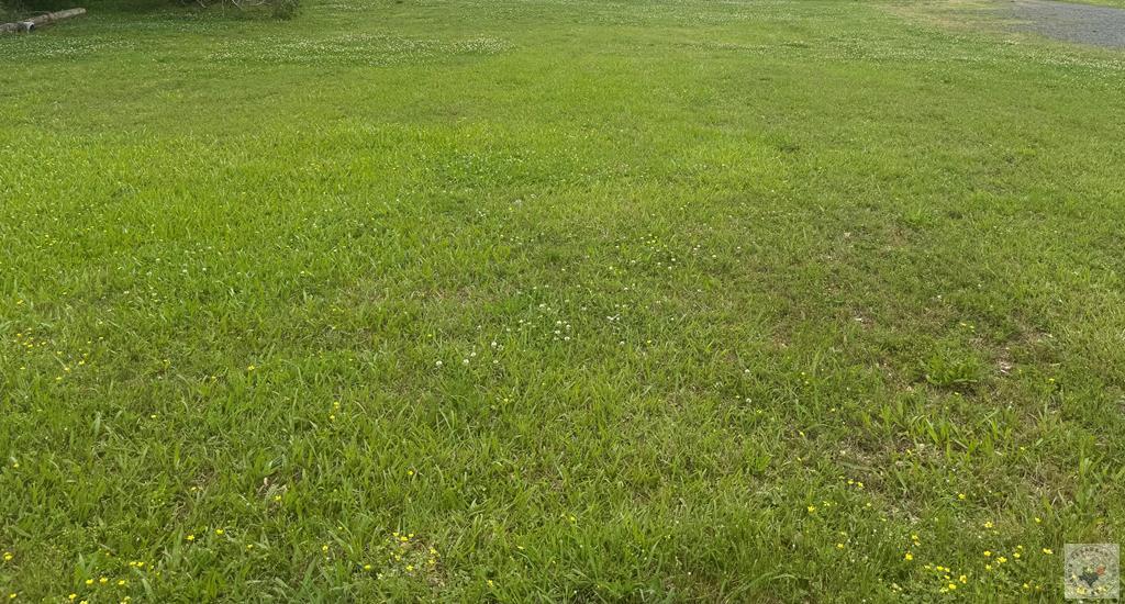 Tbd Odom Property Photo 1