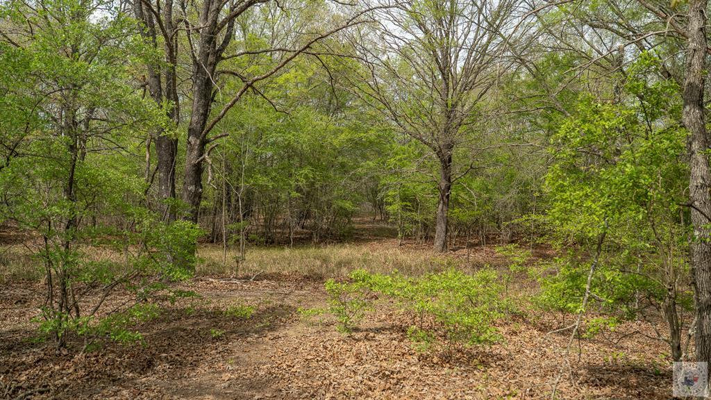 0000 Tbd Fm 195 Property Photo 1