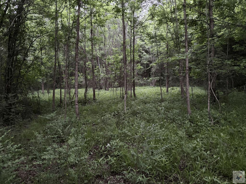 TBD County Road 2742