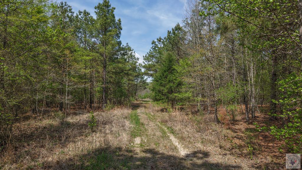 Tbd Fm 195 Property Photo 1