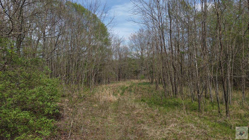 Tbd Fm 195 Property Photo 1