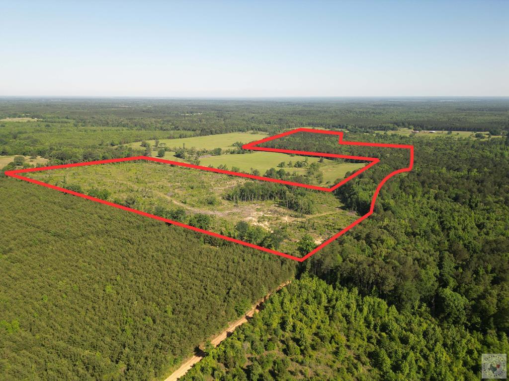Tbd Cr 2729 Property Photo 1