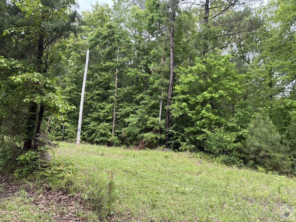 2096 Mc 157 Property Photo 14