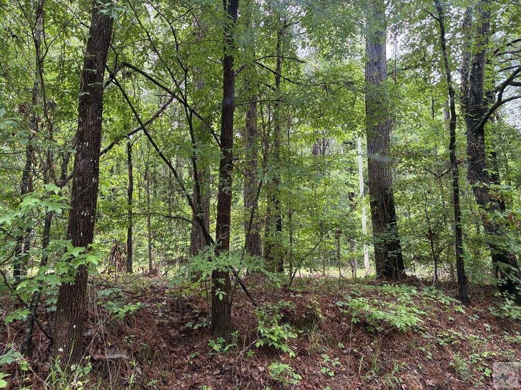 2096 Mc 157 Property Photo 16