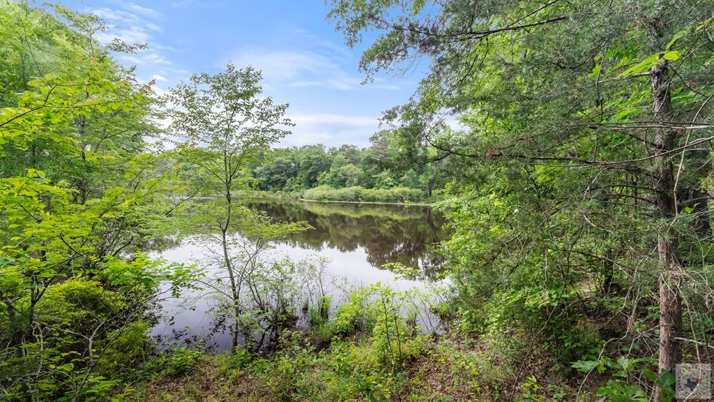 Tbd County Road 4110 Property Photo 1