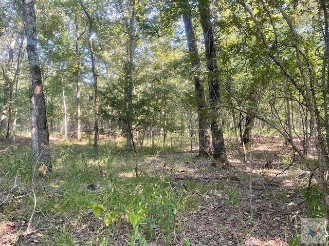 Tbd Cr 16150 Property Photo 1
