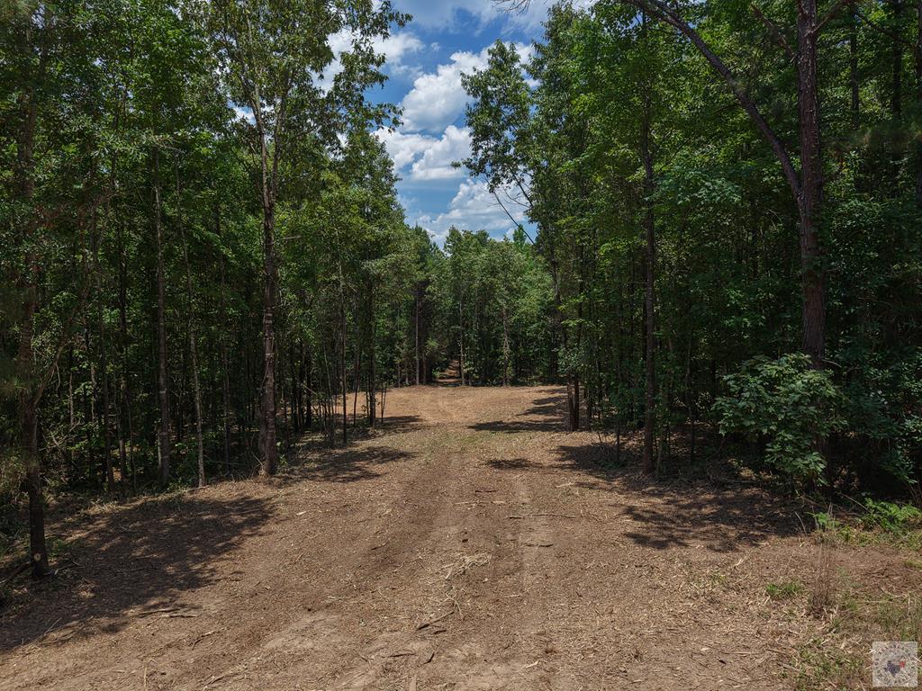 0000 County Road 4452 Property Photo 1