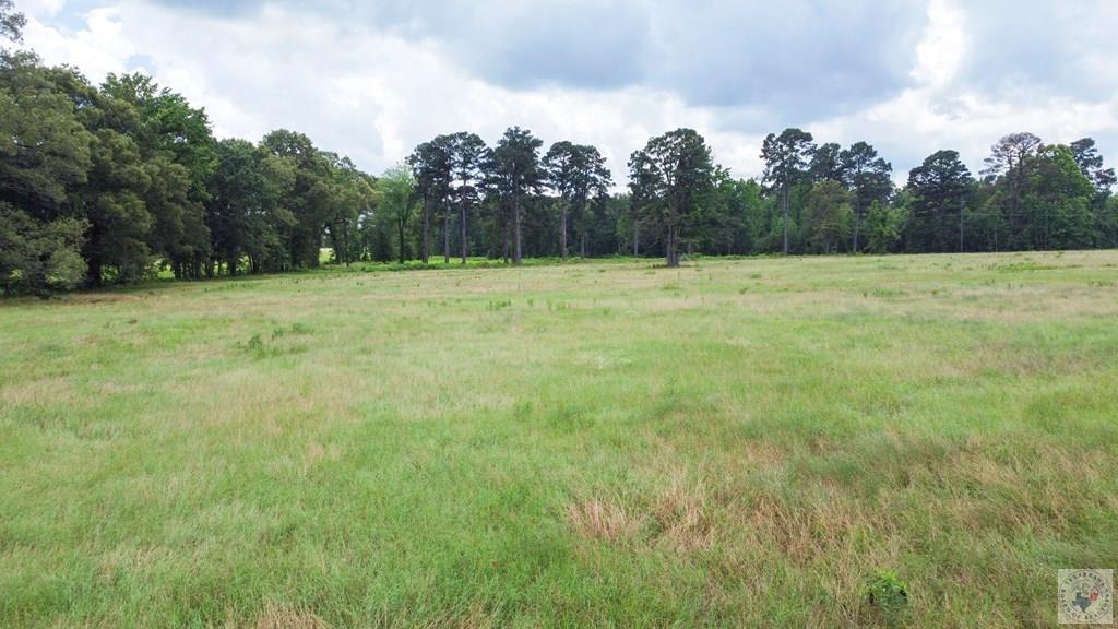 30 +/- Ac Cr 1112 Property Photo 1