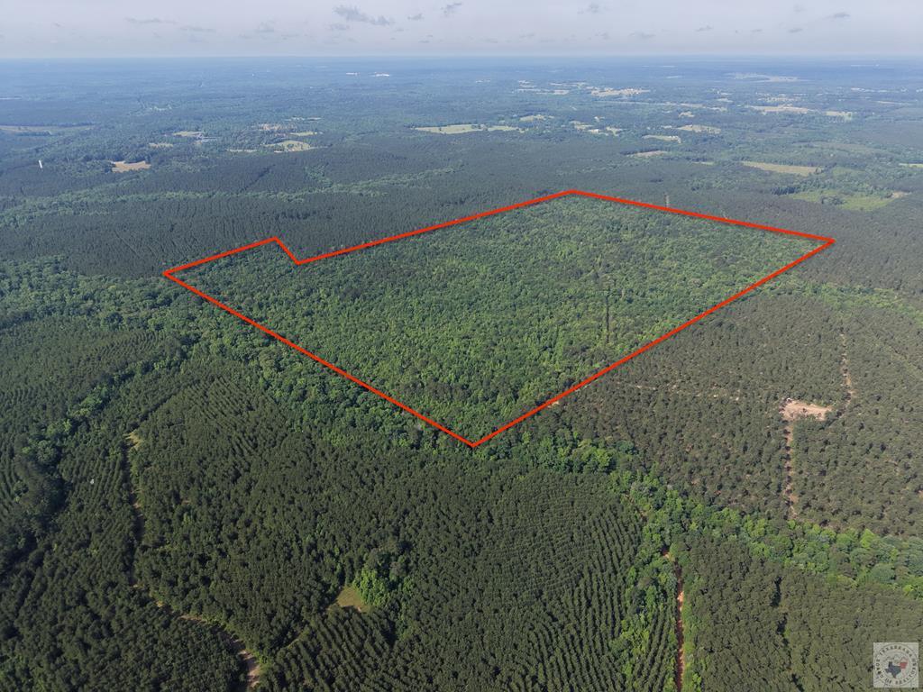 999 Flarity Rd Property Photo 1