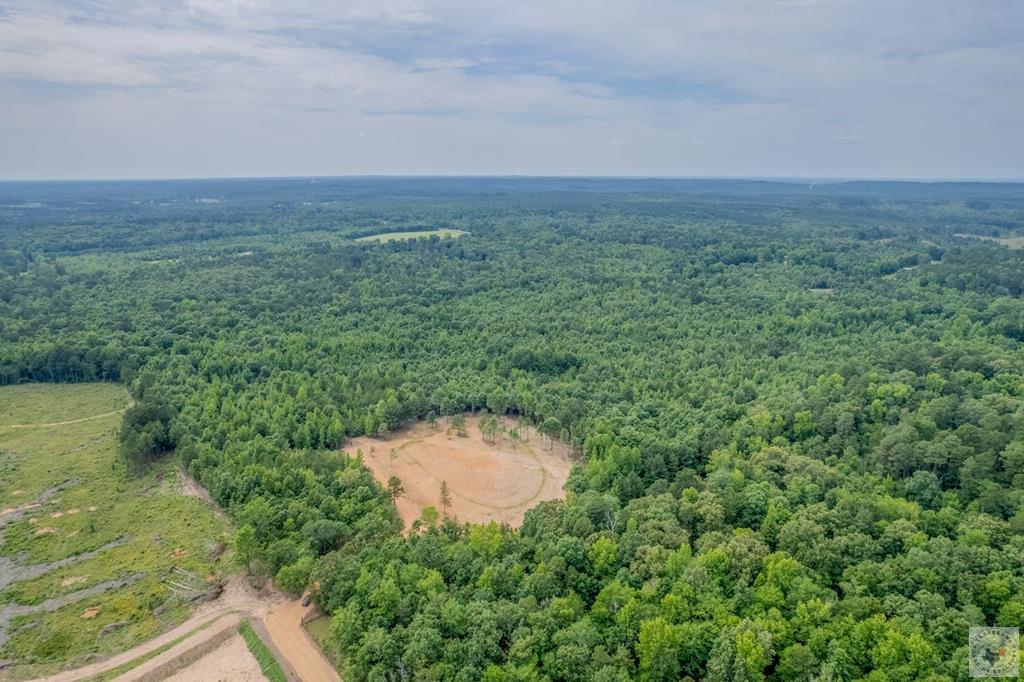 Tbd County Road 249 ( Lot 1 ) Property Photo 1