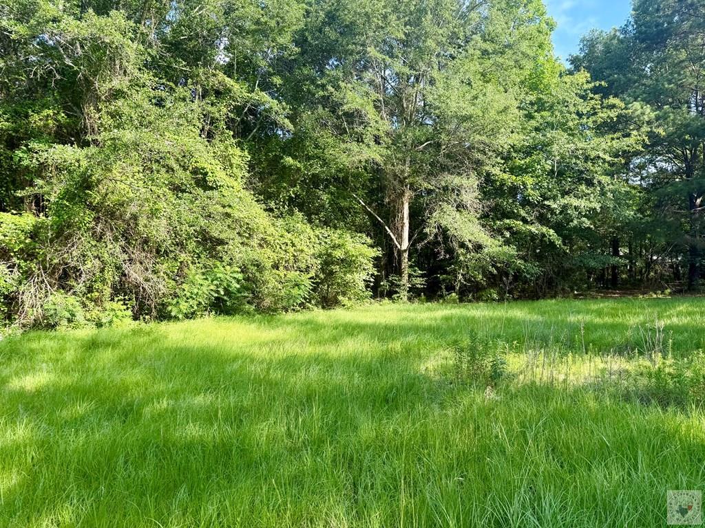 349 Cr 1109 Property Photo 1