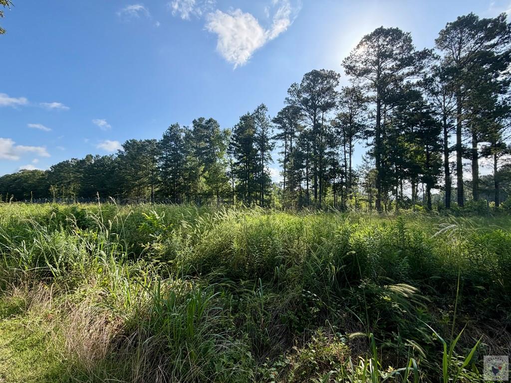 349 Cr 1109 Property Photo 4