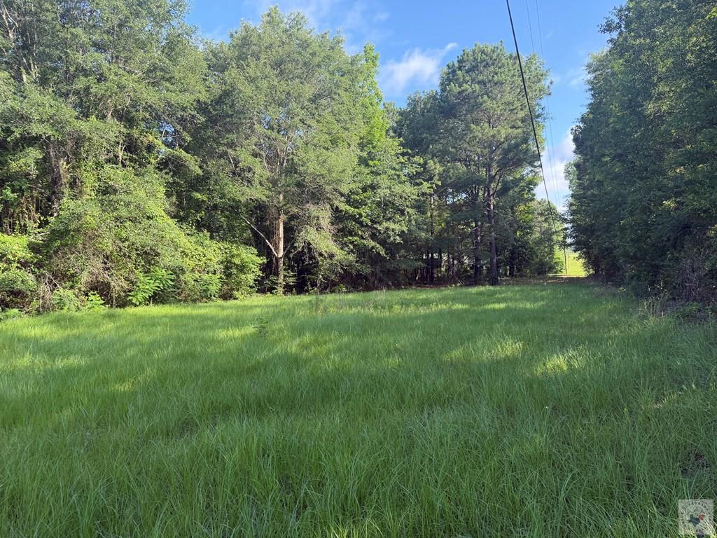 349 Cr 1109 Property Photo 5