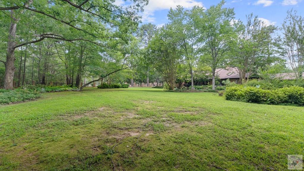 12 Knotty Pine Property Photo 37