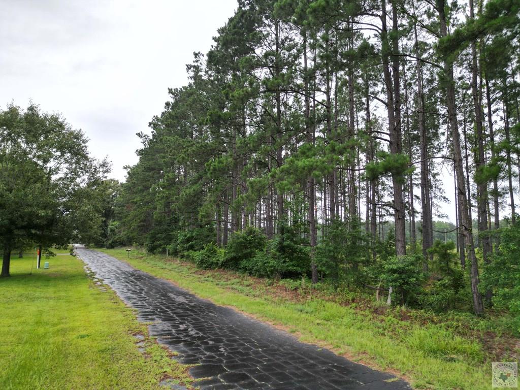 Tbd Cr 4565 Property Photo 1