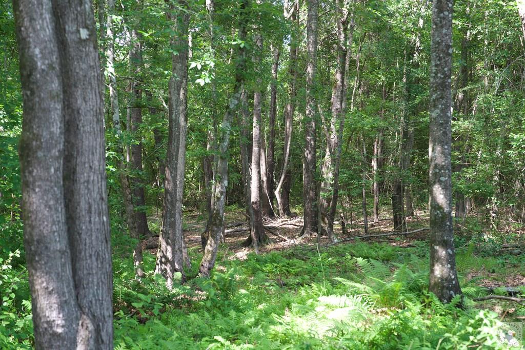 544 County Road 4812 Property Photo 36