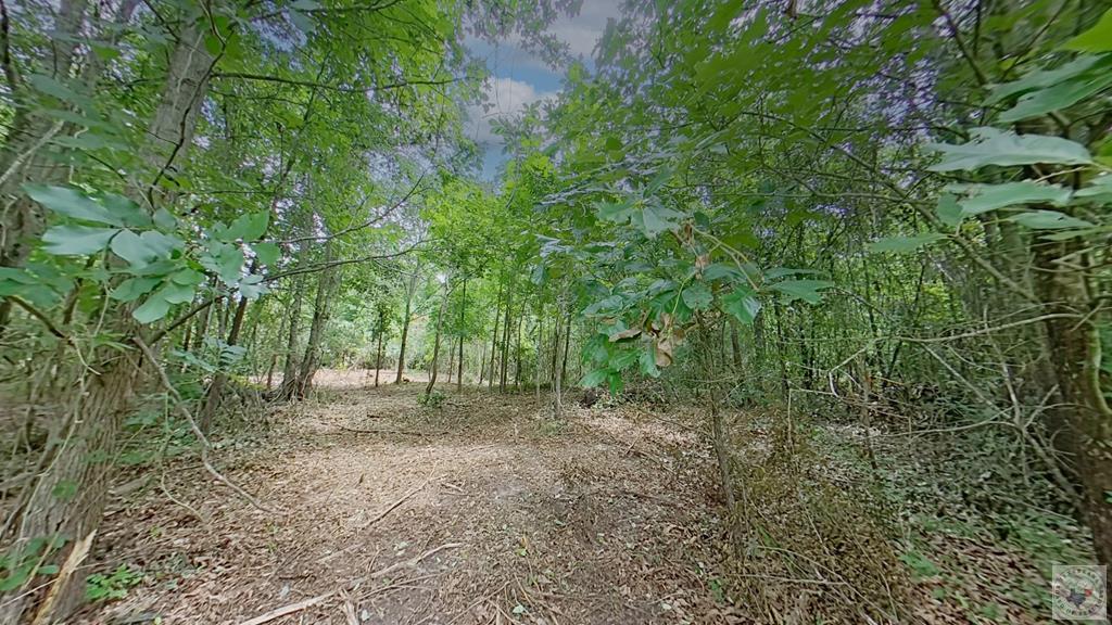0 Treebark Dr Property Photo 2