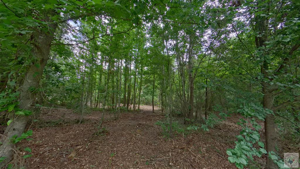 0 Treebark Dr Property Photo 3