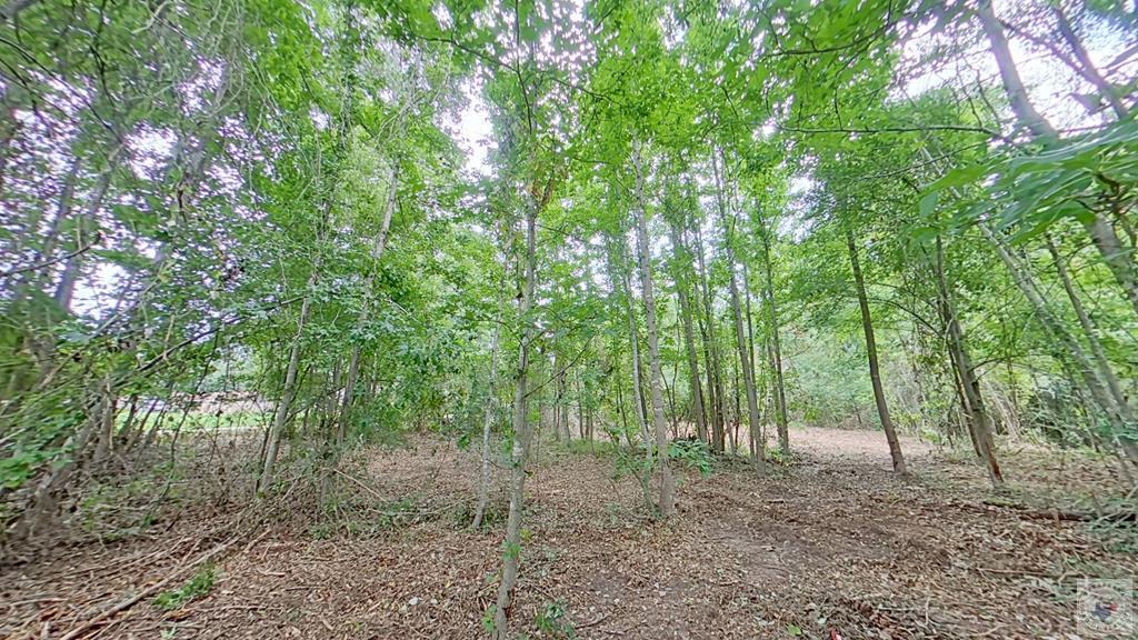 0 Treebark Dr Property Photo 4
