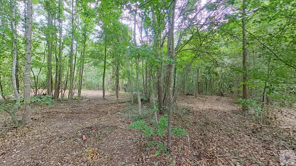 0 Treebark Dr Property Photo 5