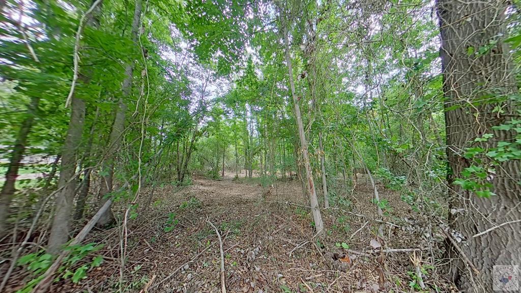 0 Treebark Dr Property Photo 6