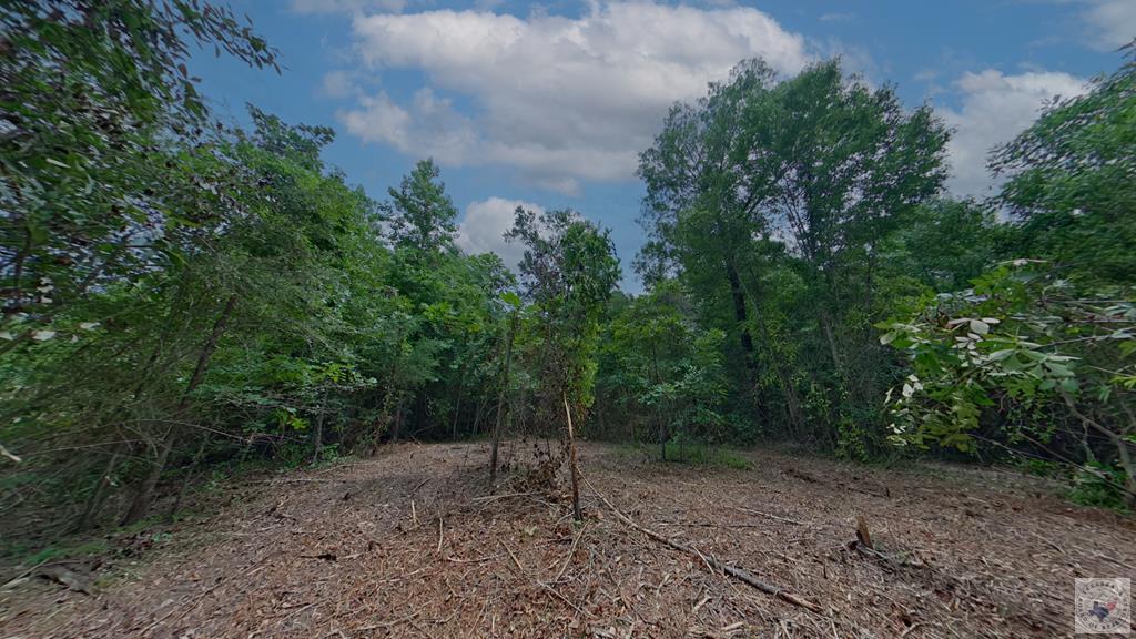 0 Treebark Dr Property Photo 7