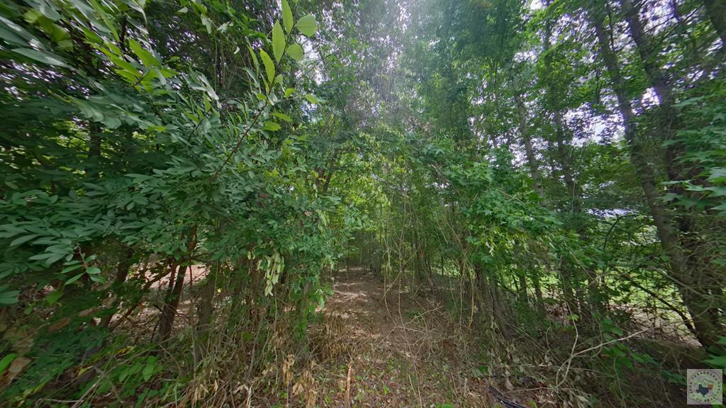0 Treebark Dr Property Photo 8