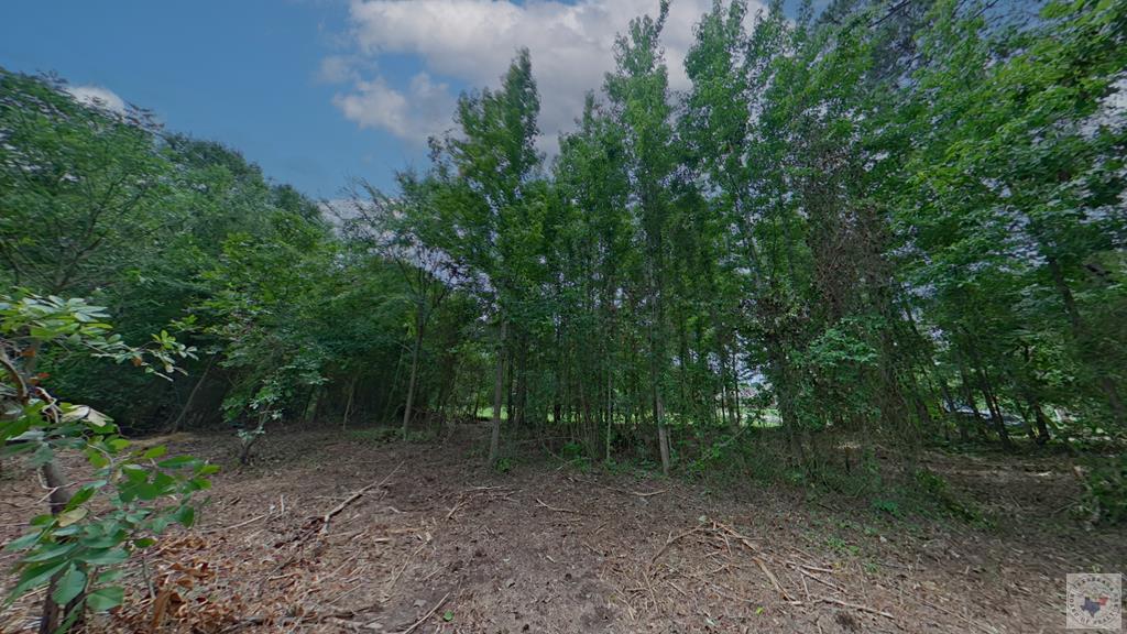 0 Treebark Dr Property Photo 9