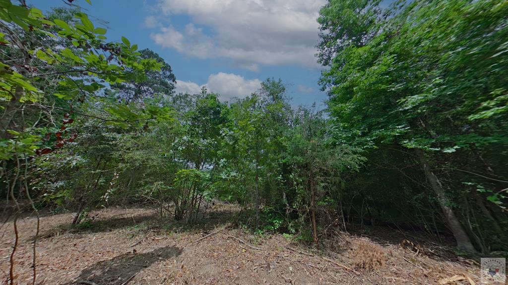 0 Treebark Dr Property Photo 10