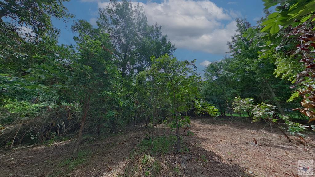 0 Treebark Dr Property Photo 11