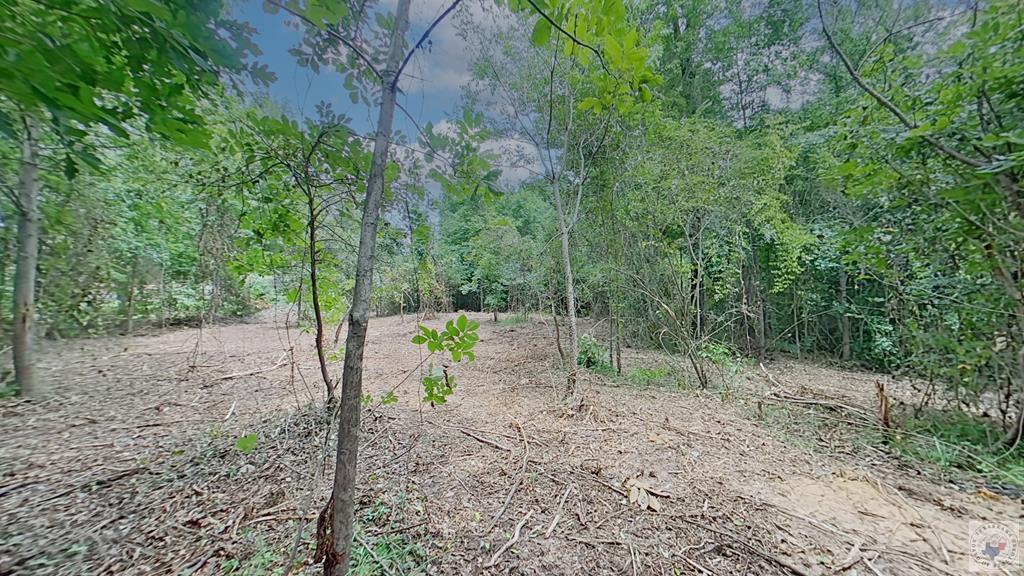 0 Treebark Dr Property Photo 12