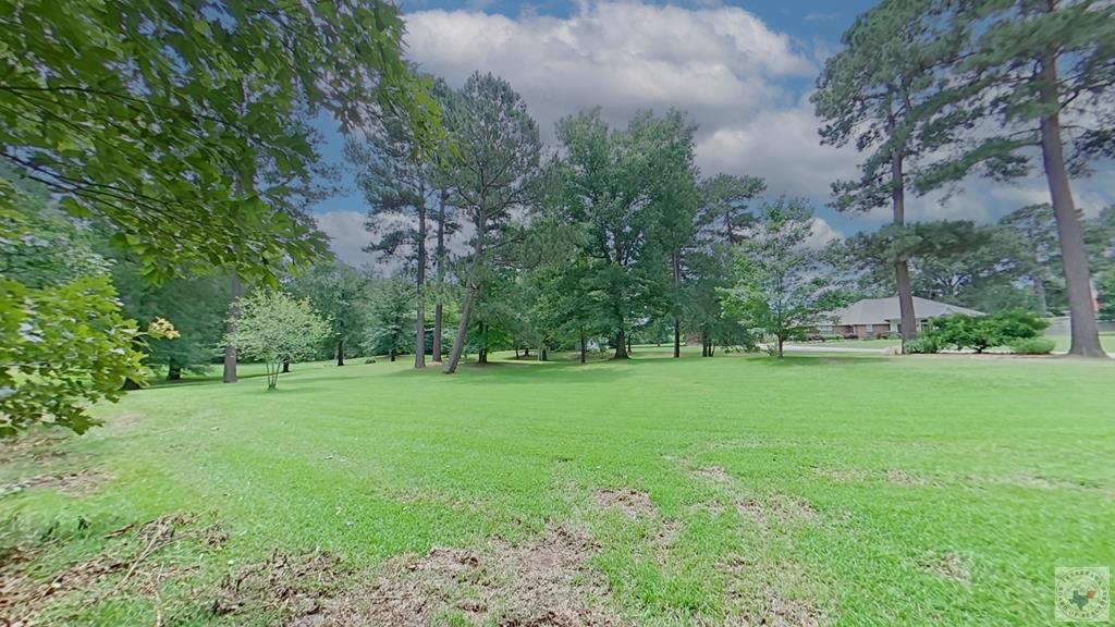 0 Treebark Dr Property Photo 17