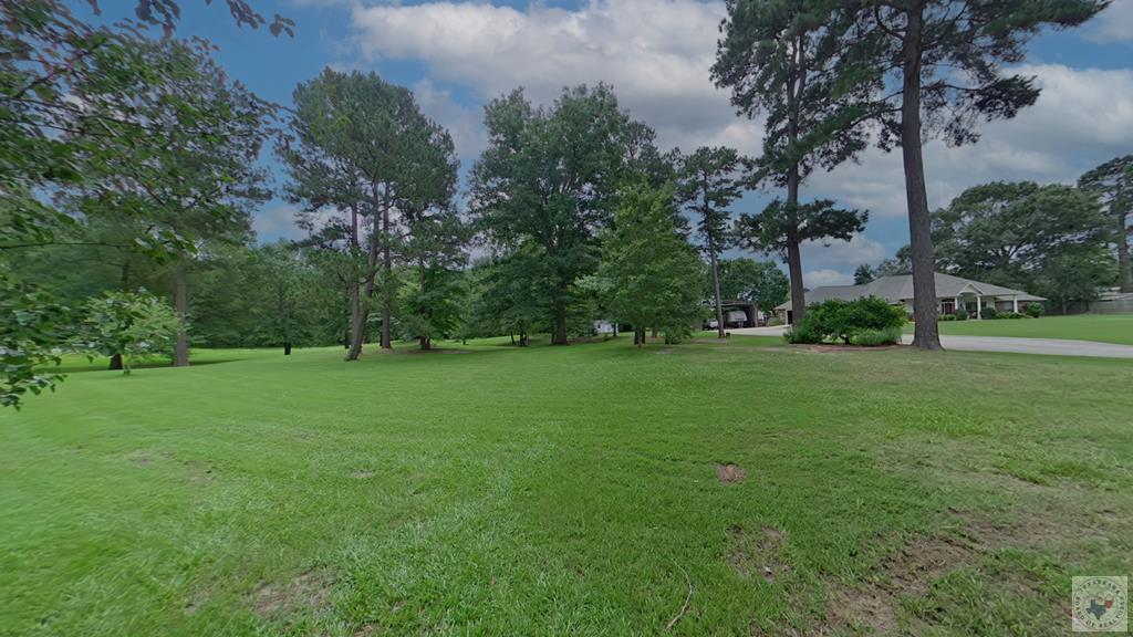 0 Treebark Dr Property Photo 20
