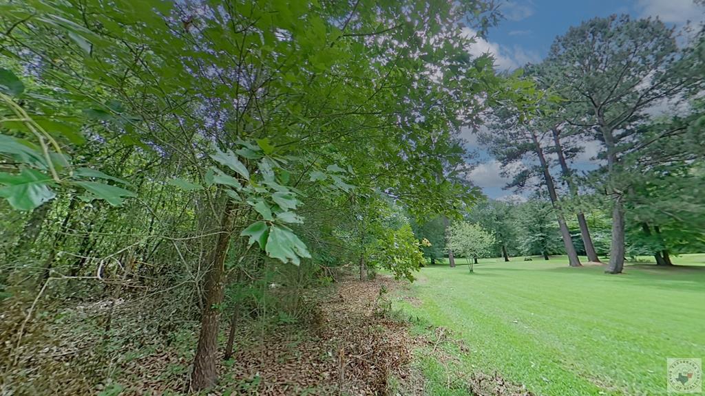 0 Treebark Dr Property Photo 24