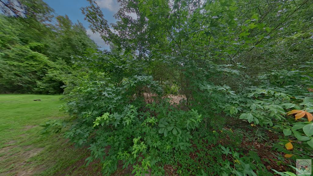 0 Treebark Dr Property Photo 25