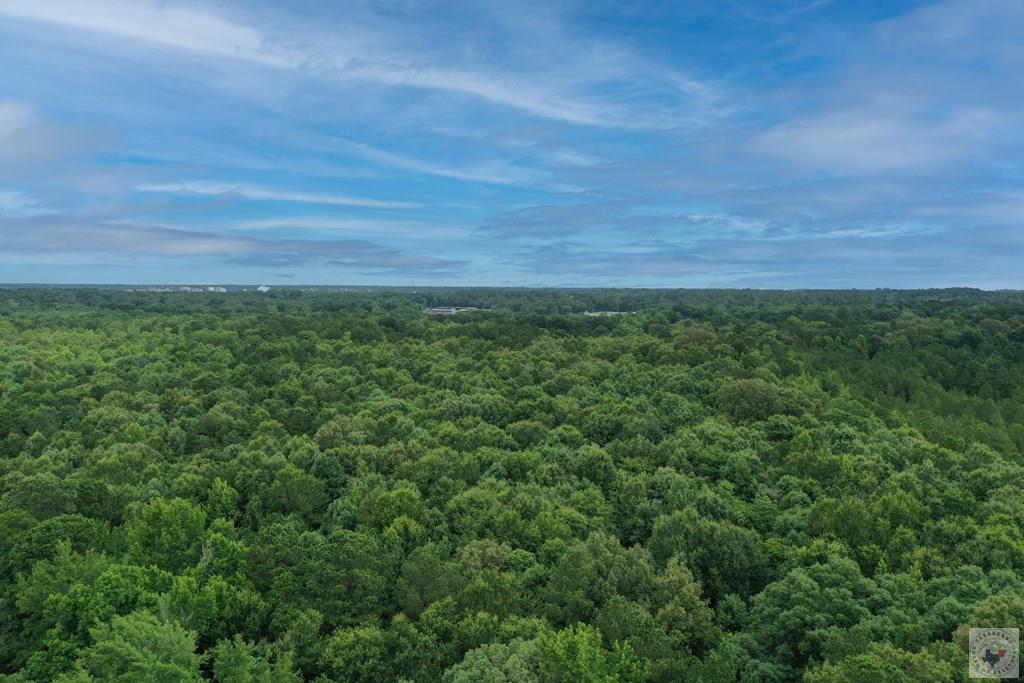 0 Treebark Dr Property Photo 27