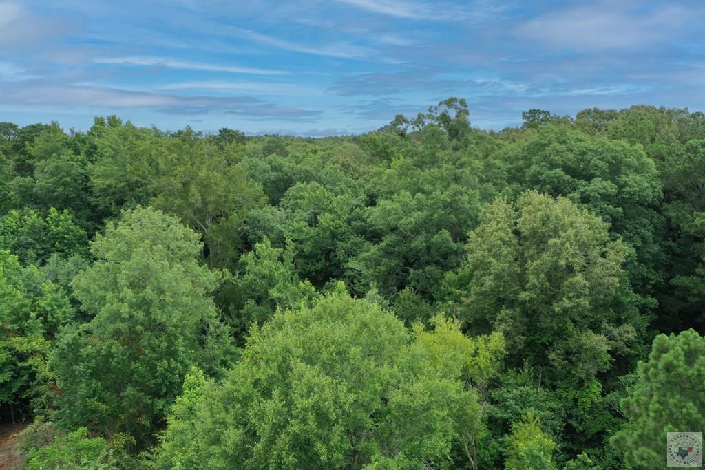 0 Treebark Dr Property Photo 28