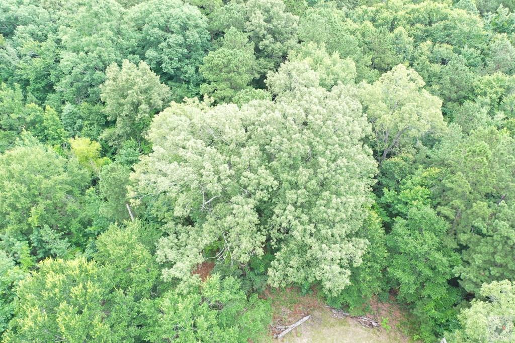 0 Treebark Dr Property Photo 33