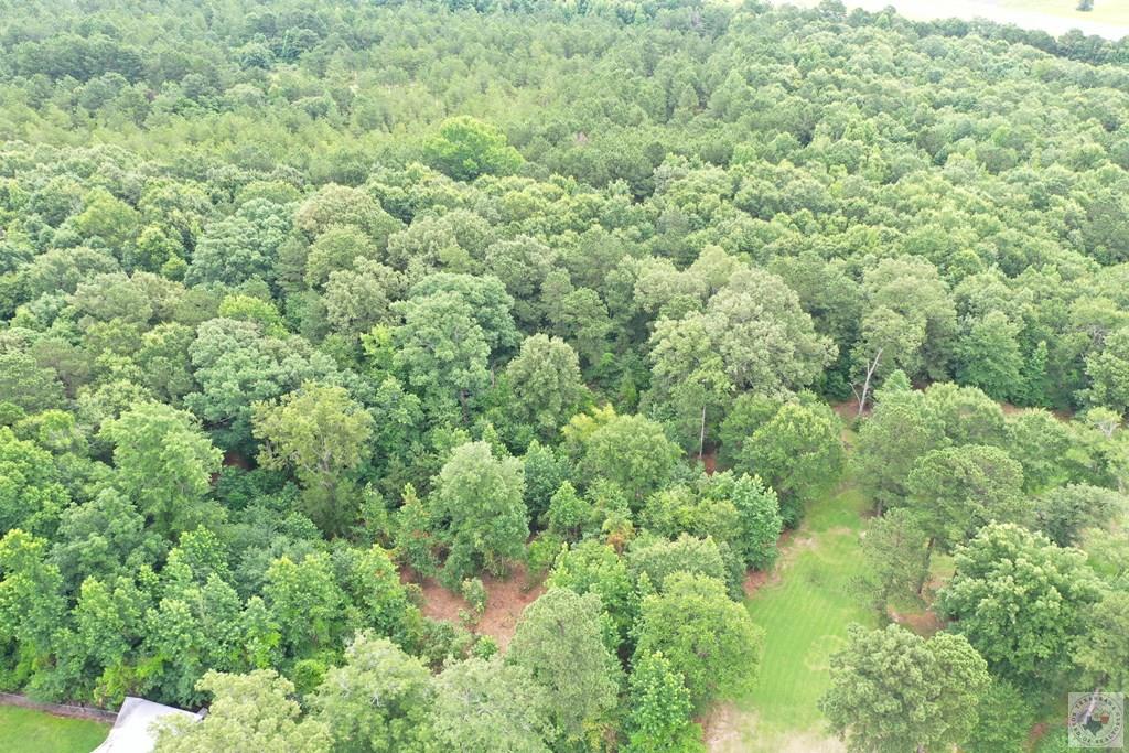 0 Treebark Dr Property Photo 37
