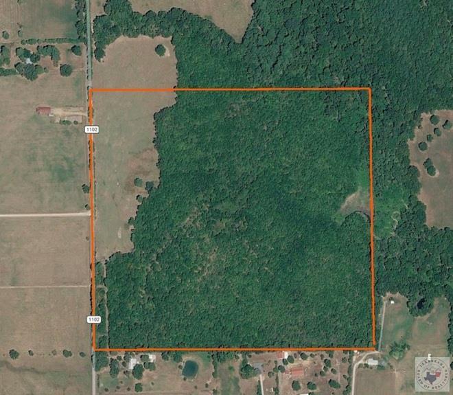 Tbd Cr 1102 Property Photo 1