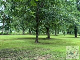 13341 E Hwy 67 Property Photo 56