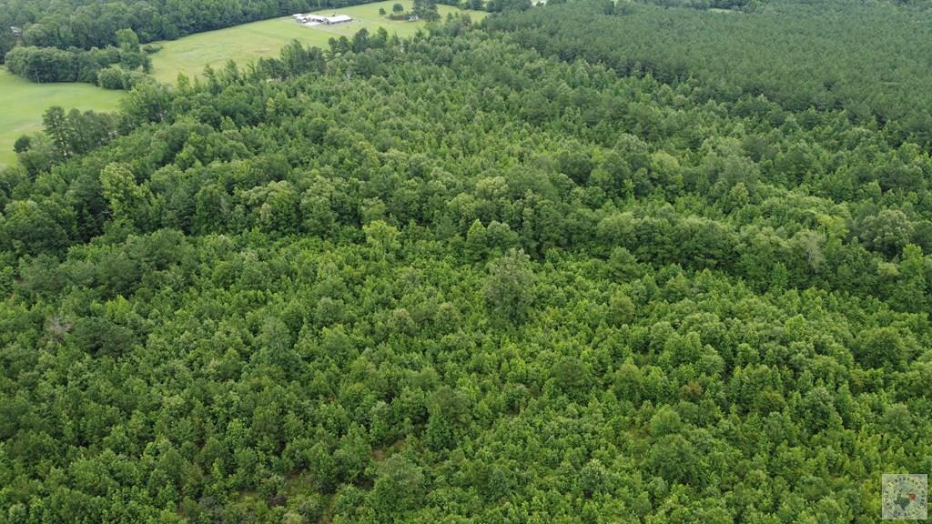 Tbd Fm 561 Property Photo 2