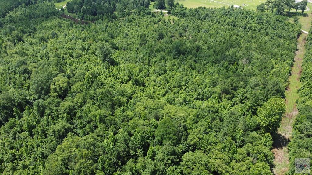 Tbd Fm 561 Property Photo 5