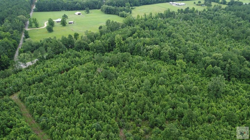 Tbd Fm 561 Property Photo 6