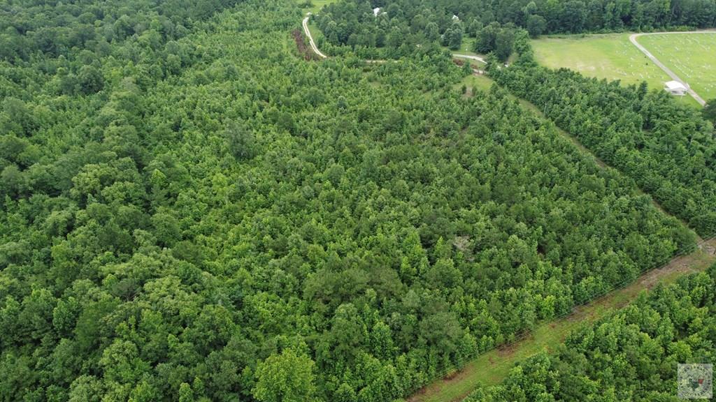 Tbd Fm 561 Property Photo 12